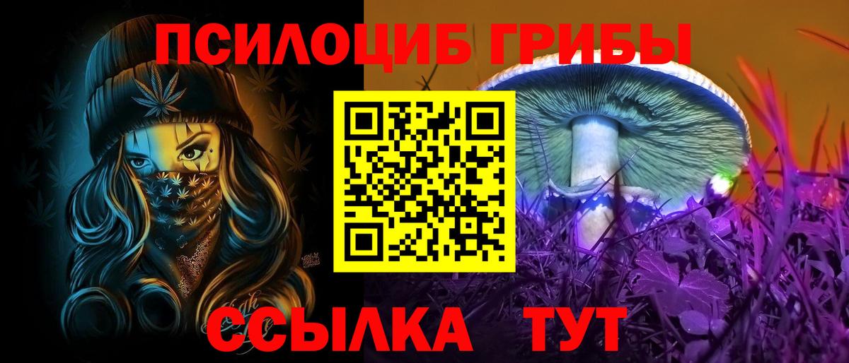 Шелехов  наркота  Вход с VPN  Галлюциногенные грибы прущие грибы  Псилоцибиновые грибы прущие грибы 
